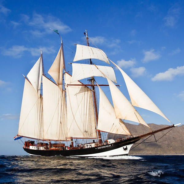 Sail on Board